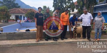 BPBD Dampingi Distribusi Bantuan Hewan Ternak di Kecamatan Hantara